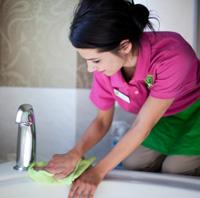 Better Life Maids green house cleaning Denver