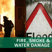 Water and fire damage left unattended can house bacteria and can be the cause of mold growth. We provide the services to address these issues.