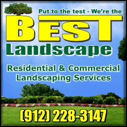 Best Landscape Savannah GA