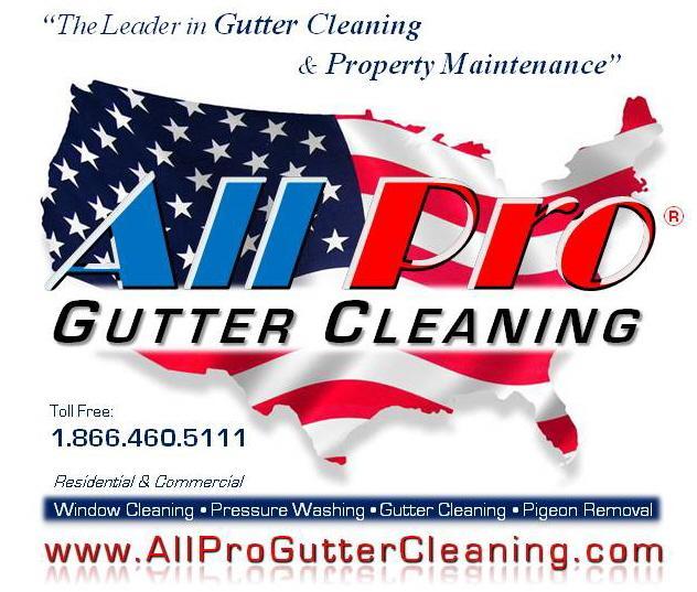 All Pro Window Cleaning - Gutter Cleaning Services