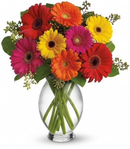 Gerbera Arrangement