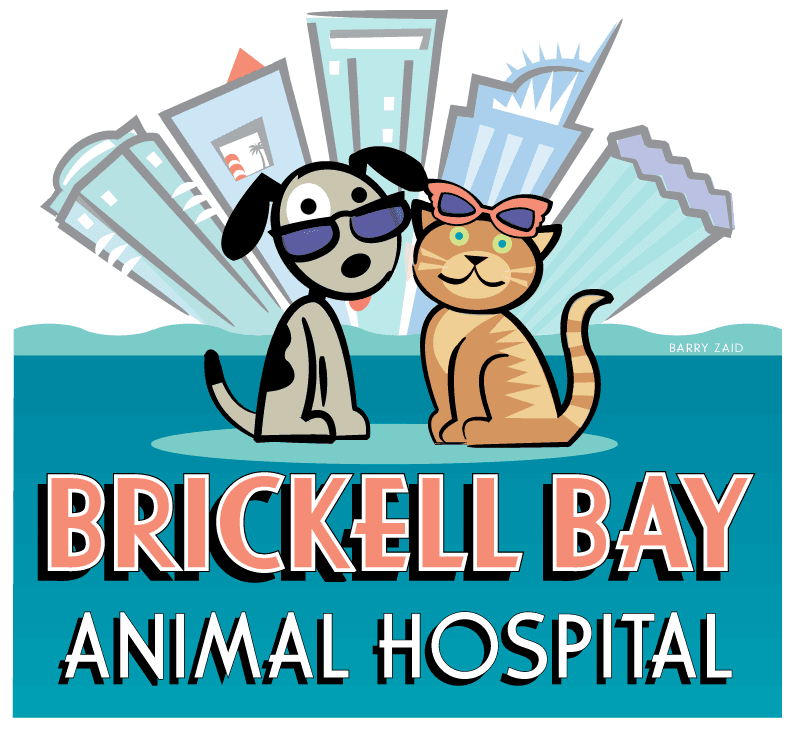 Veterinarian in Brickell