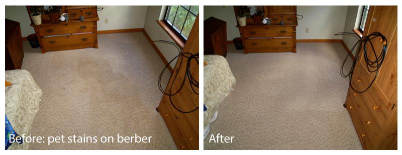 Heaven's Best Carpet Cleaning