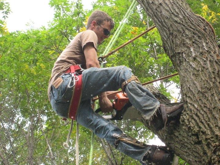 Affordable Tree Service