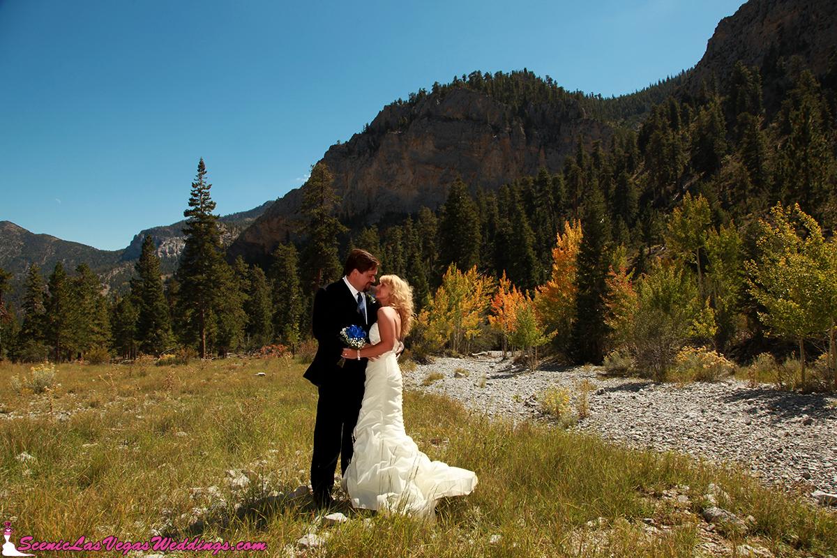 Scenic Las Vegas Weddings