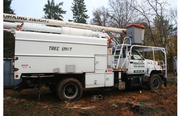 Princeton Tree Service