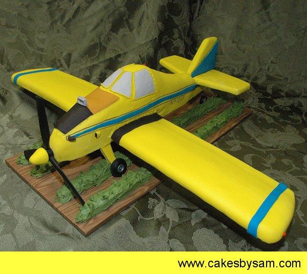 3D Crop Duster Airplane Cake