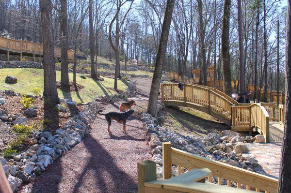 A view of our 2,5 acre off-leash dog park