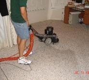 Carpet Cleaning Reviews