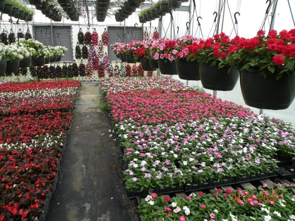 Osterbrock Greenhouse & Florist