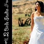 New Mexico Weddings