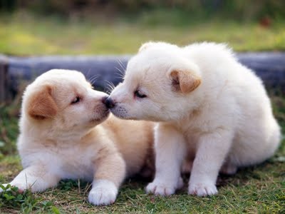 Siblings Playing!