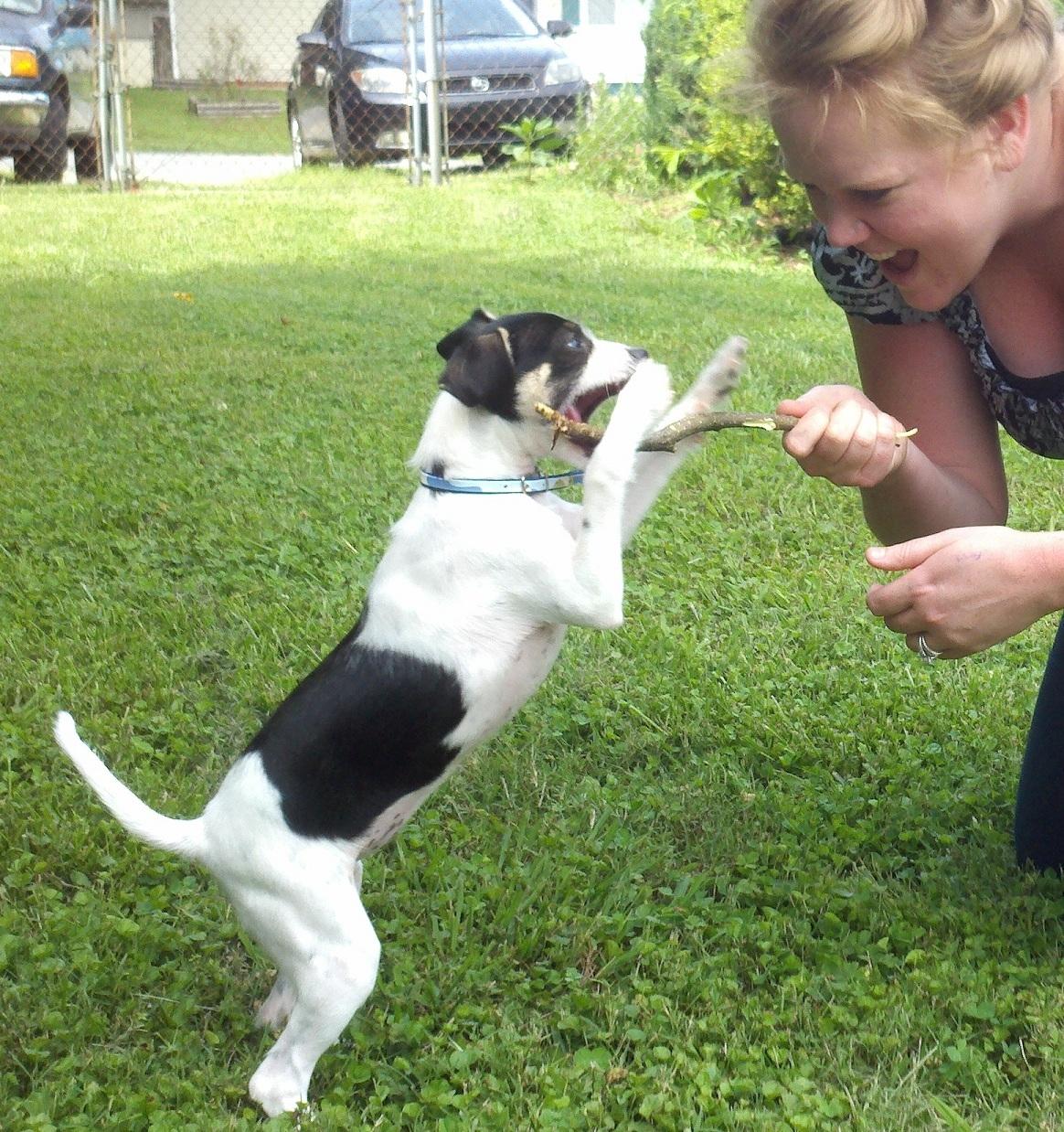 Maghen, one of the owners, and a pet sitter, with Lily.