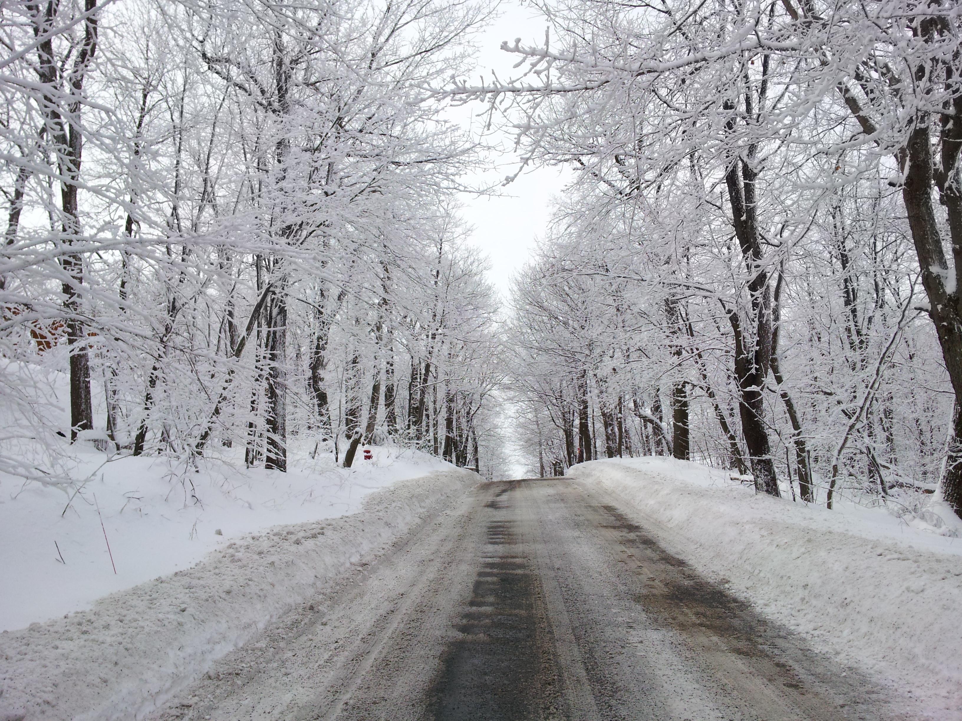 Winter Time Showing Off  Road Behind Condo