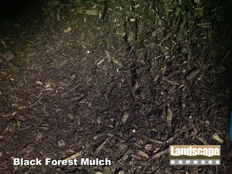 Black Forest Mulch