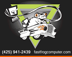 Fast Frog Computer