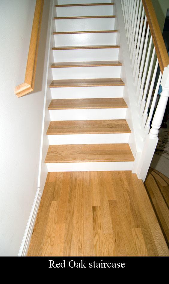 Steps with white risers