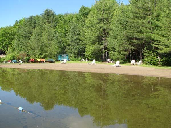 Southern Adirondack Pines