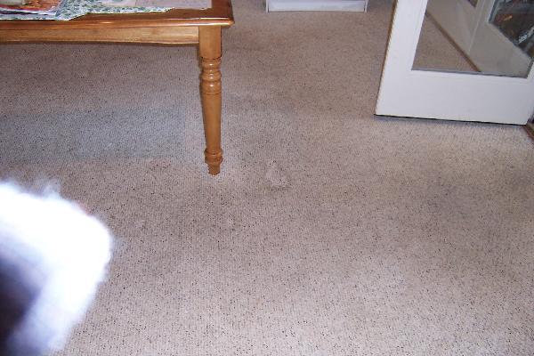 SuperClean Carpet Care