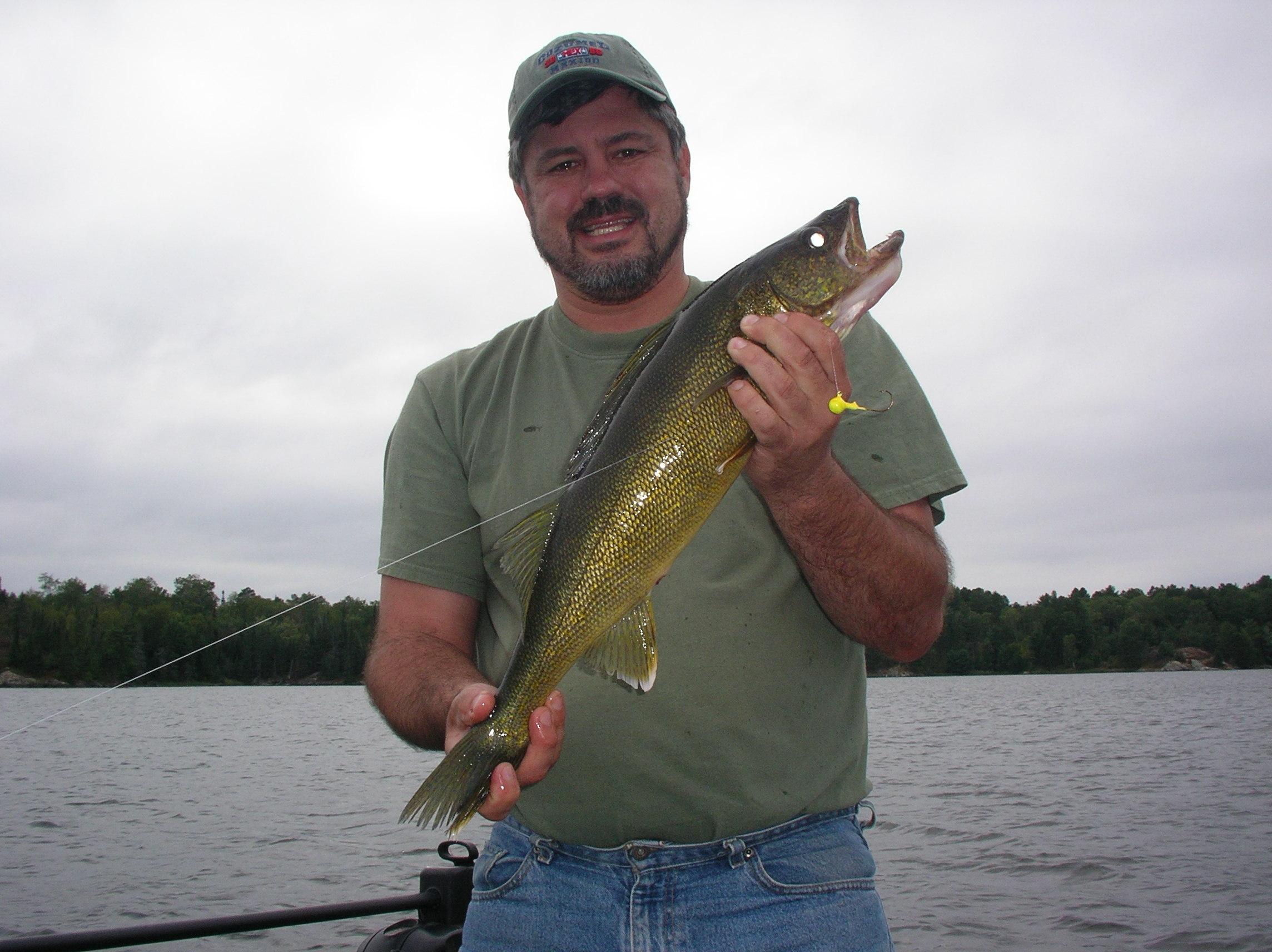 Kabetogama walleye