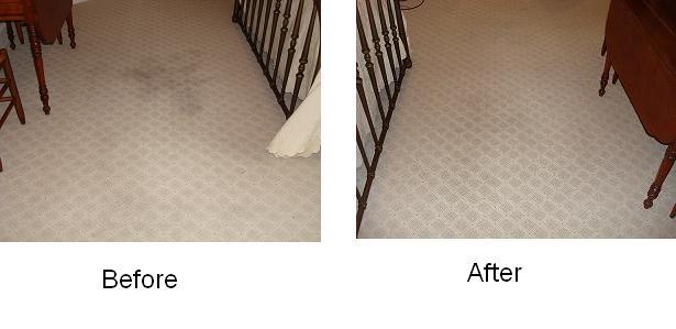 carpet cleaning coupons Cincinnati