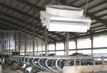 Dairy system including stalls, fans, curtain & polycarbonate