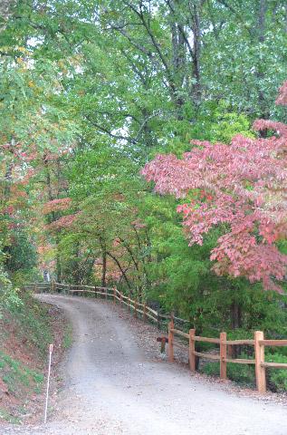 Our driveway