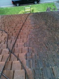 Roof Cleaning in Seattle