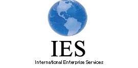 International Enterprise Services, Inc.