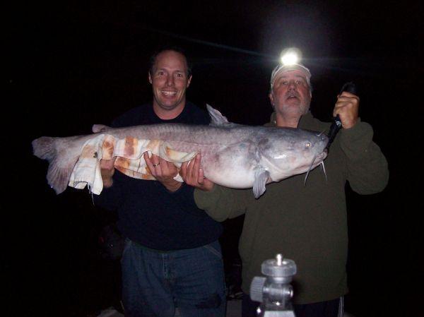 STRIPER & CATFISH FISHING GUIDE SERVICES