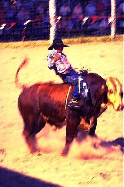 Bullriding San Antonio, Texas