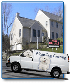 White Dog Cleaning