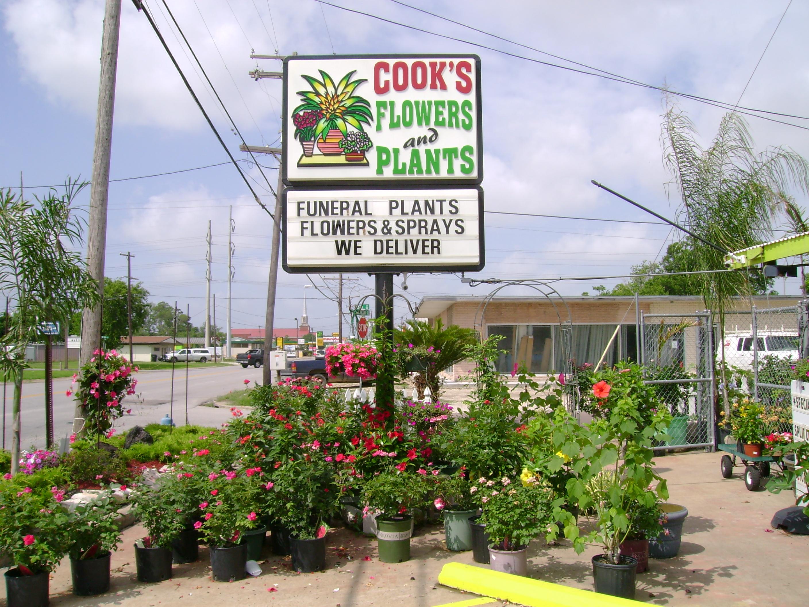 Cook's Flowers & Plants