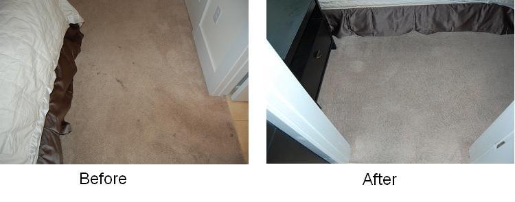 green carpet cleaning Cincinnati