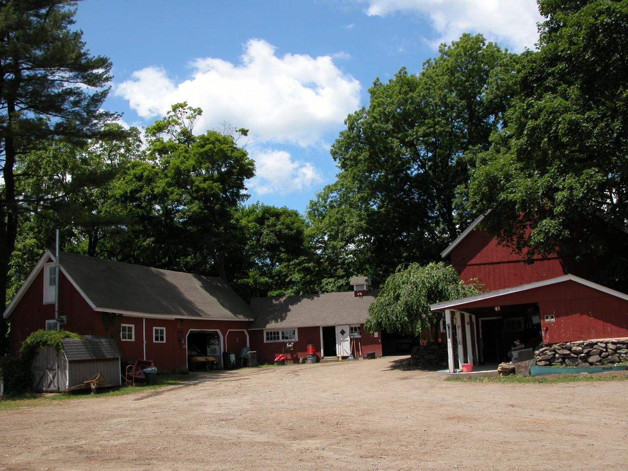 Lots of Antiques in the barns!