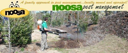 Noosa Pest Management