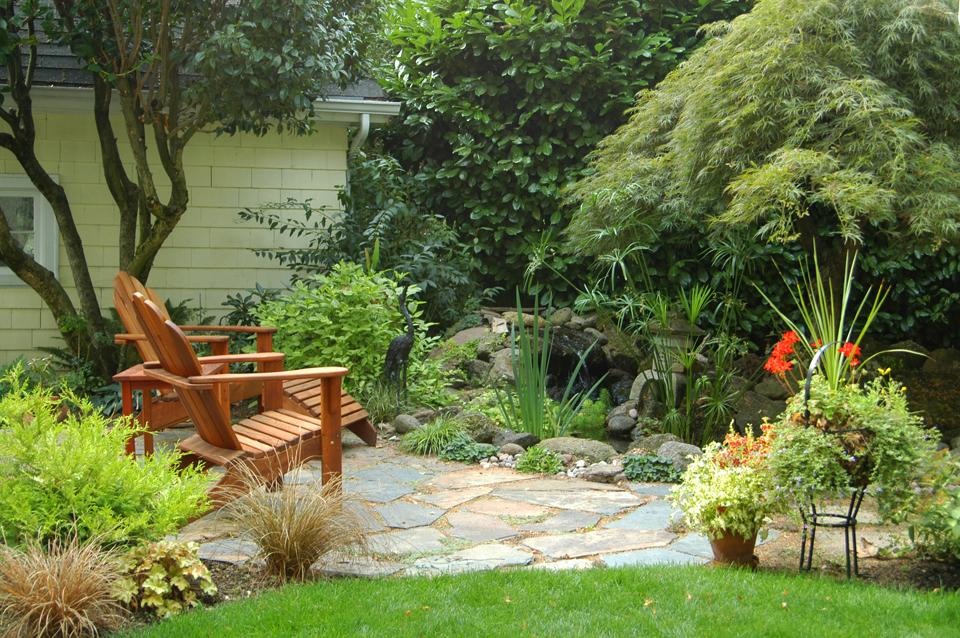 Backyard patio and pond