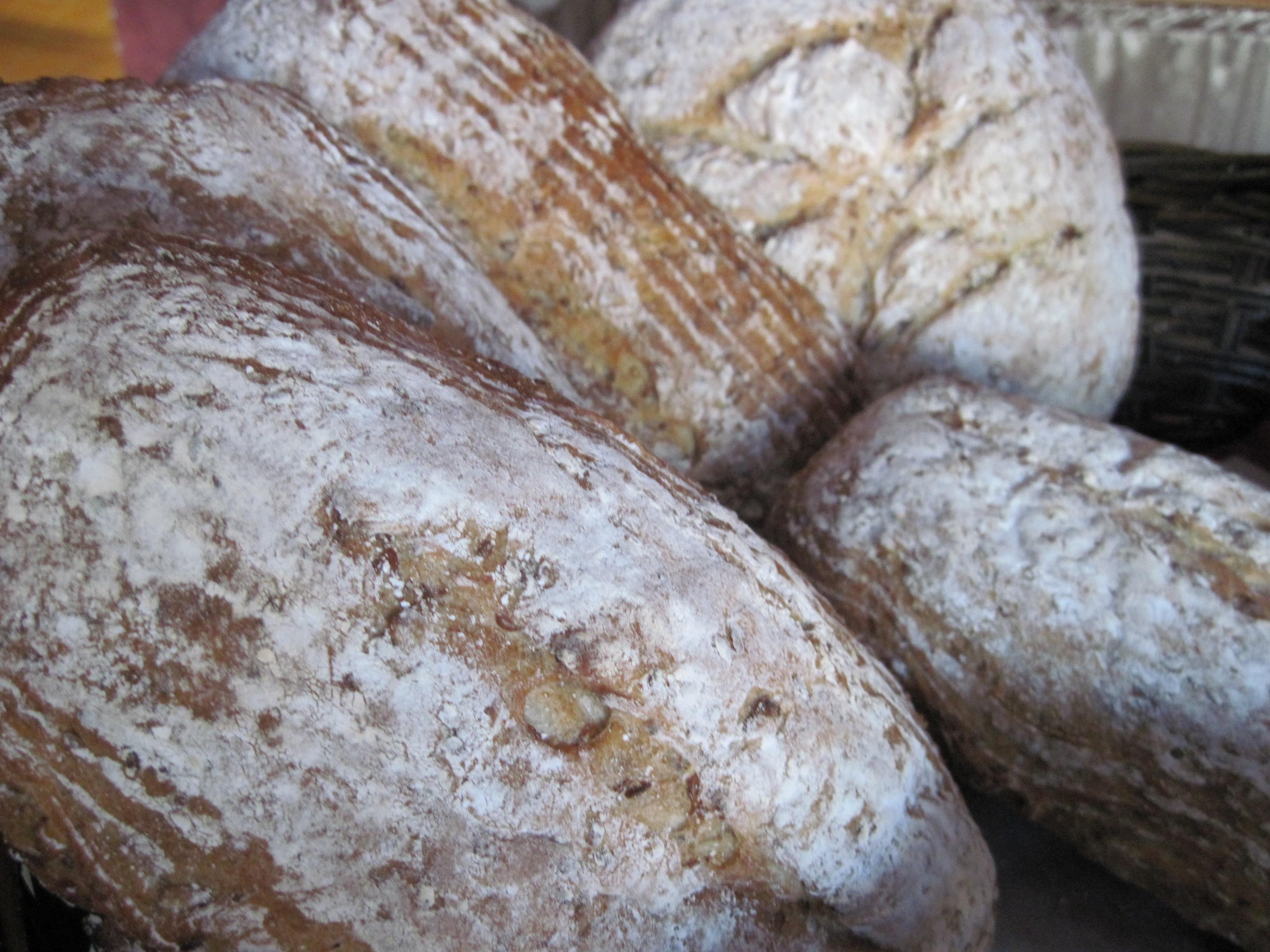 Harvest grain and multi-grain breads