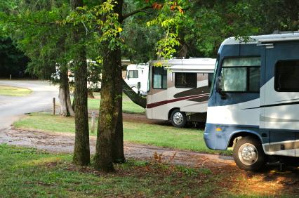 Beautiful setting among the trees