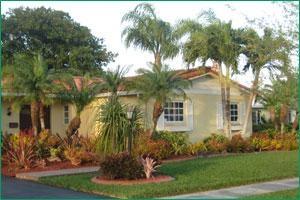 Miami lawn service and tree service