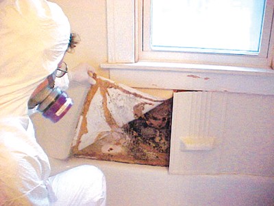 Mold technicians, certified by MICRO & the IEA, work together to provide you with the best mold inspection & remediation services available.