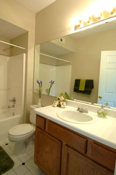 Great bathroom with lots of light.