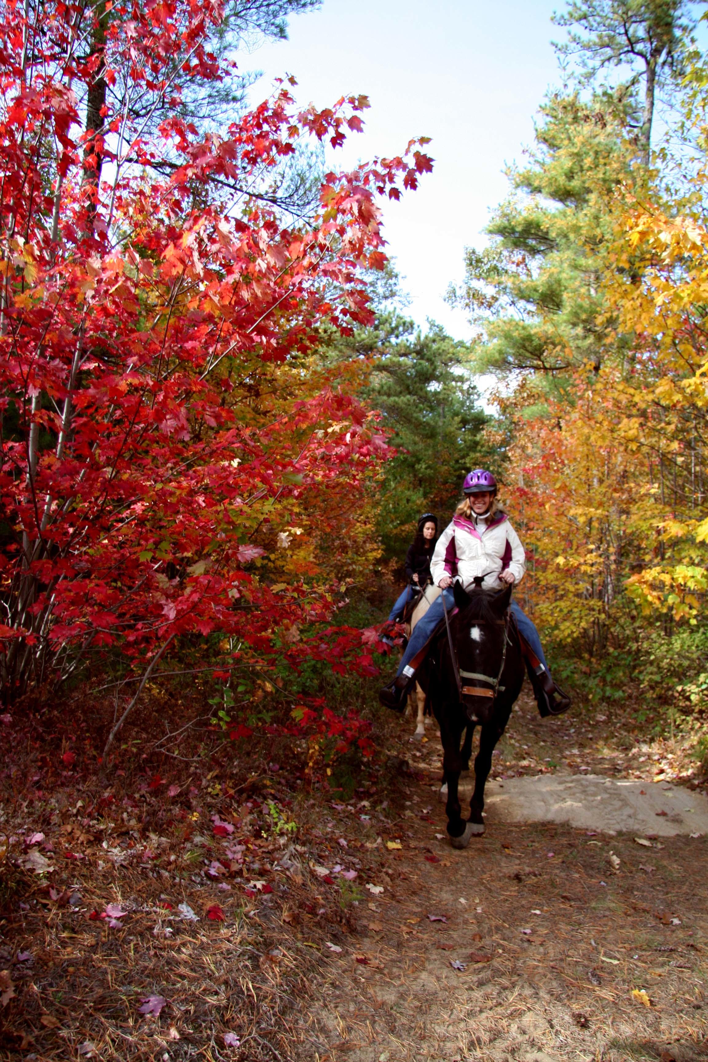 Fall in the Adirondacks