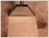 simply the best carpet cleaning