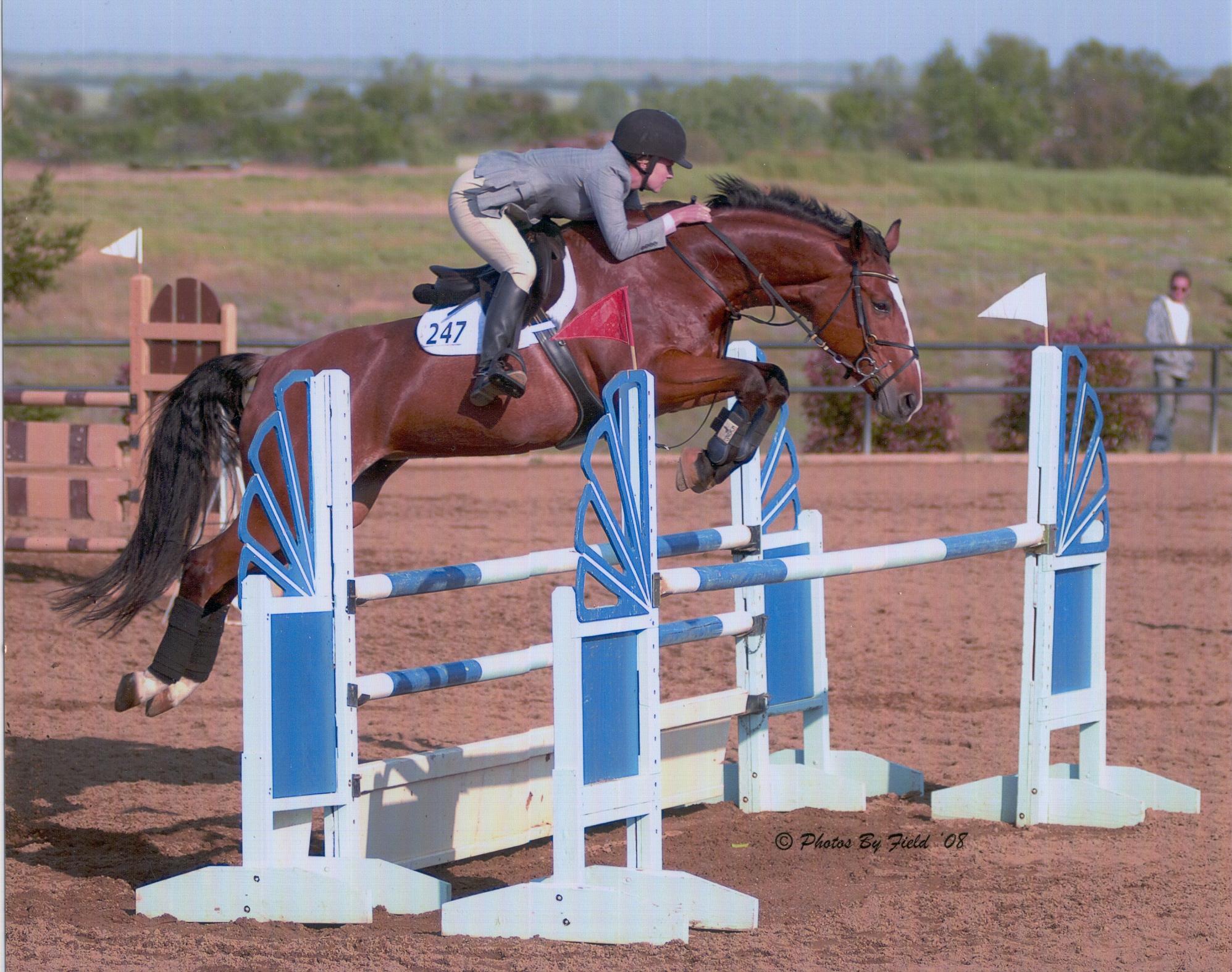 CZ Terry Czech Warmblood Jumper