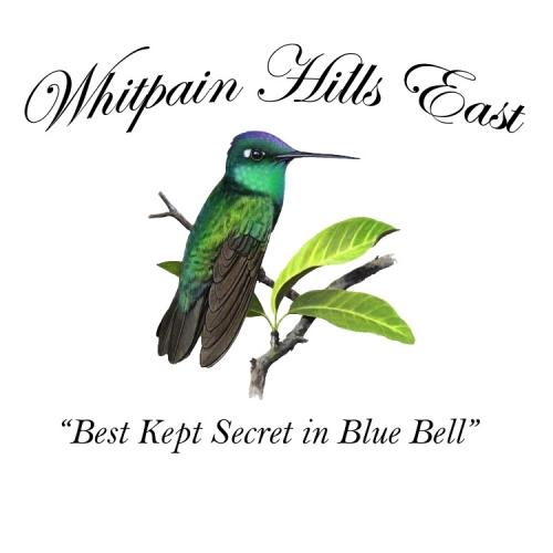 Whitpain Hills East - Best Kept Secret In Blue Bell