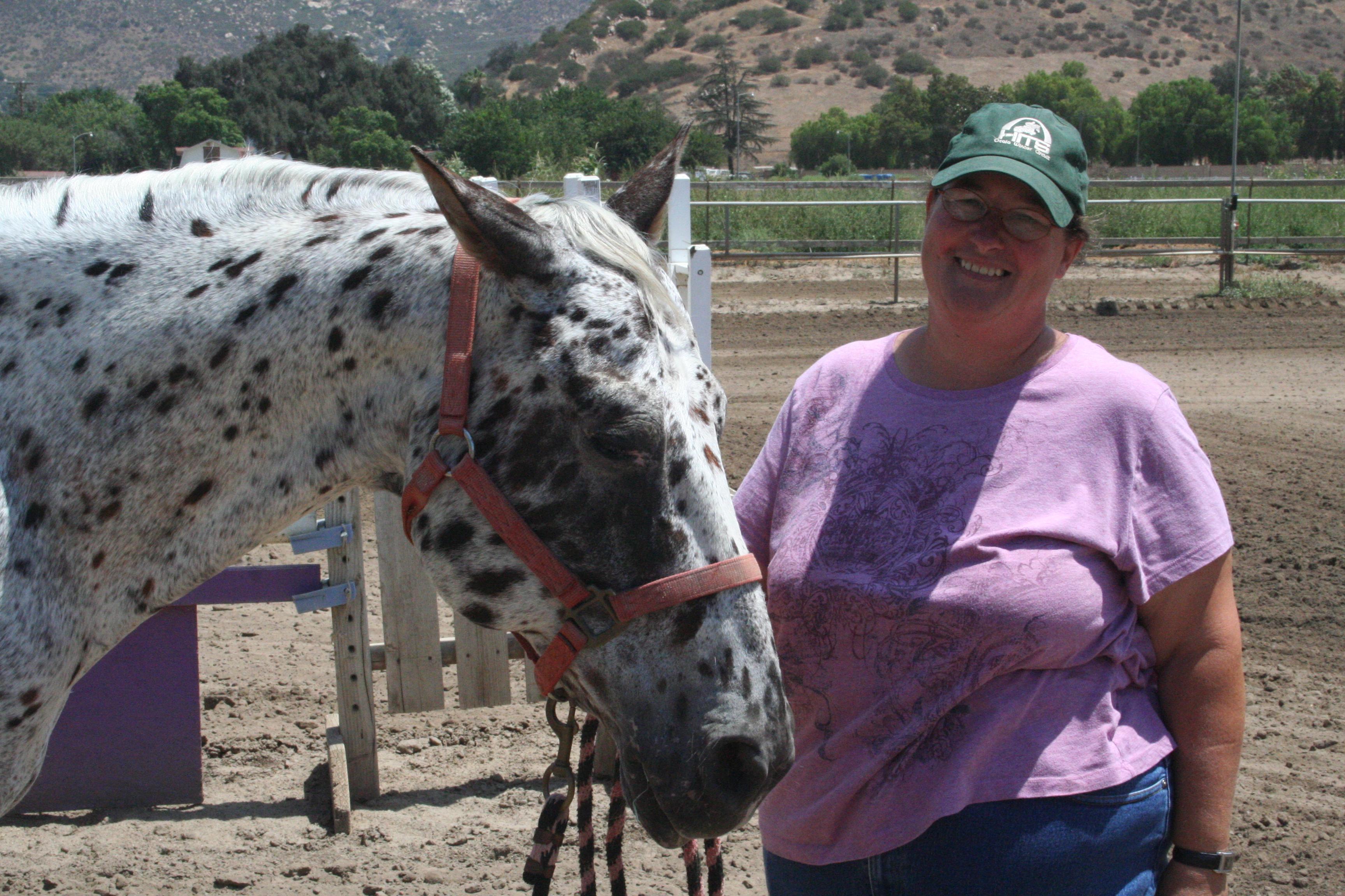 Domino - Our Leopard Appaloosa