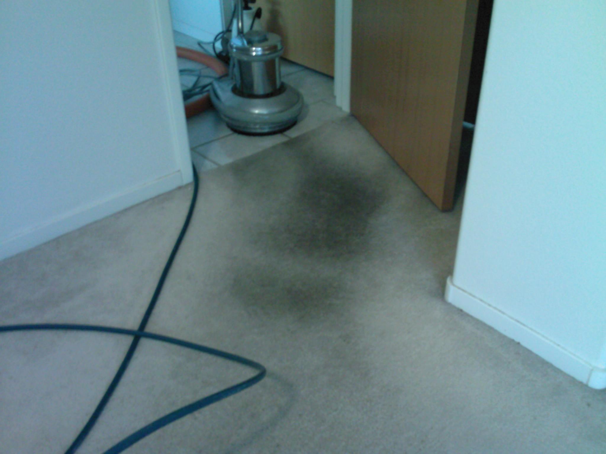 Minute Man Carpet Cleaning