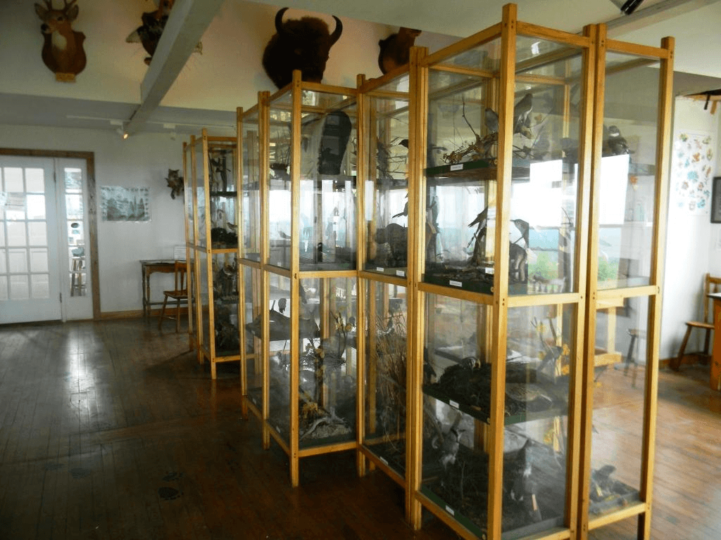 Historic Natural History Collection