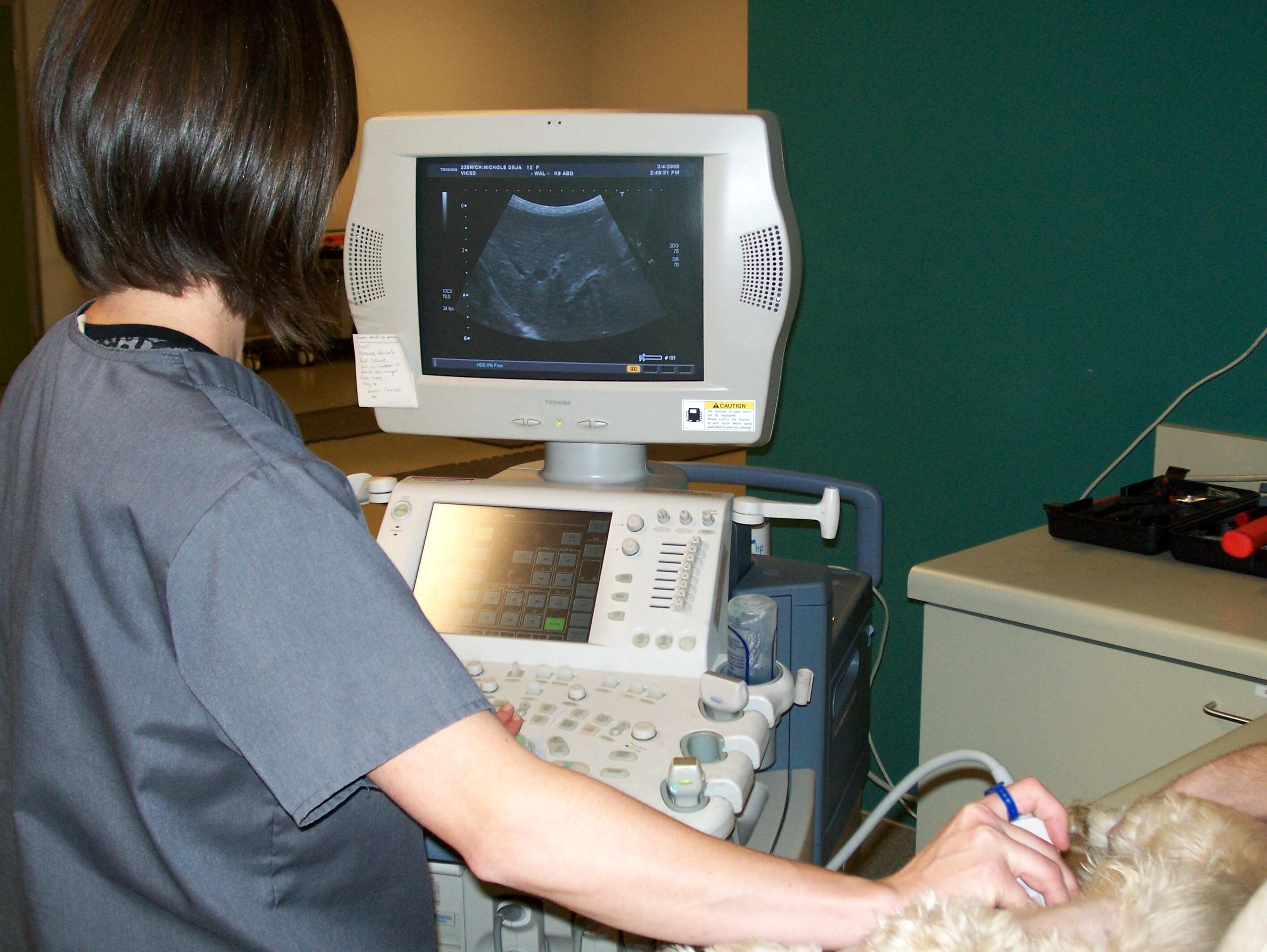 VICSD performs ultrasound services, as well as MRI, CT, nuclear medicine, radiograph review, and I-131 therapy.